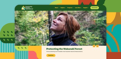 Screenshot of Community Forests International rebranded homepage with illustrative elements