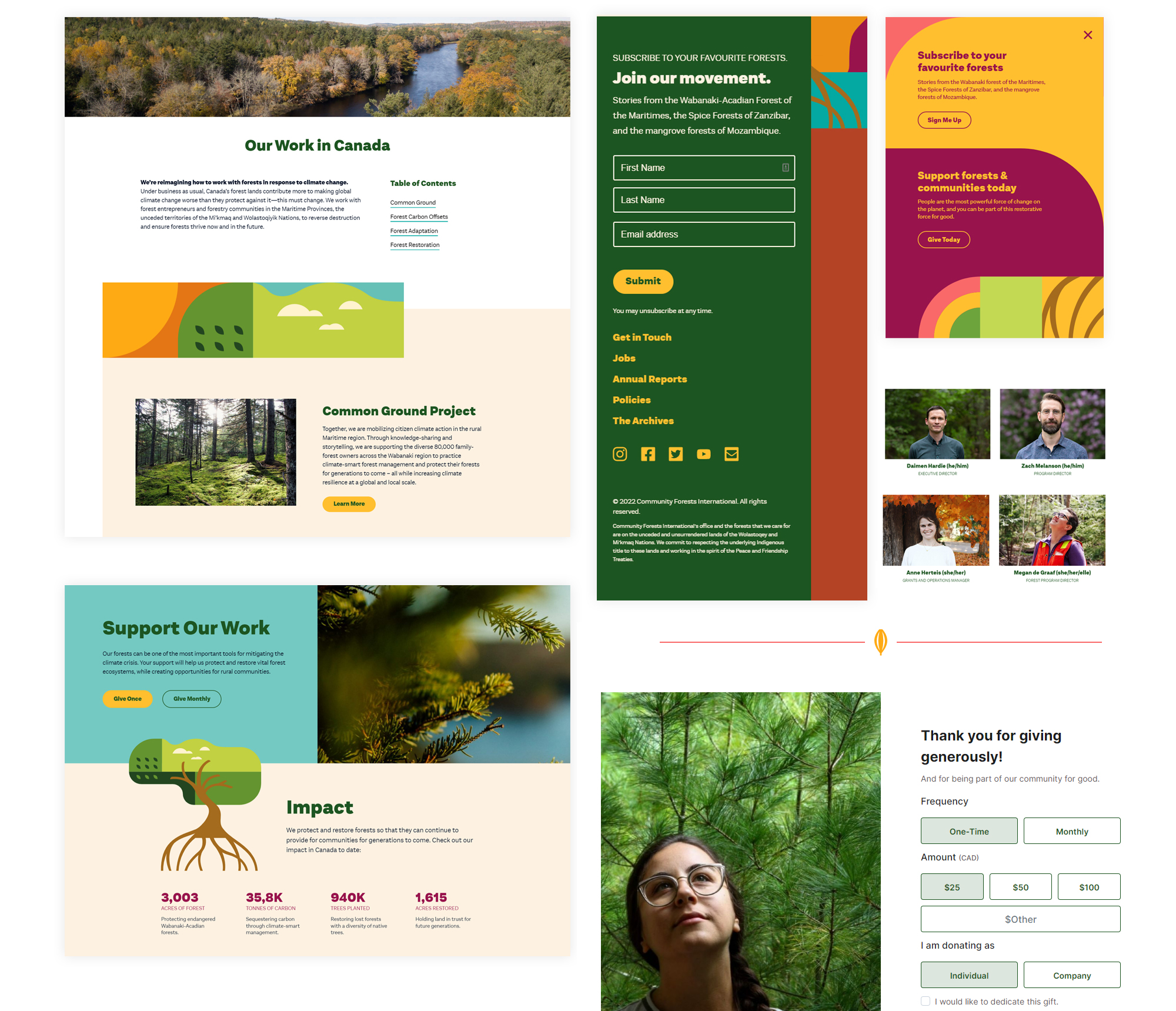 Collage of various design elements from CFI's new website