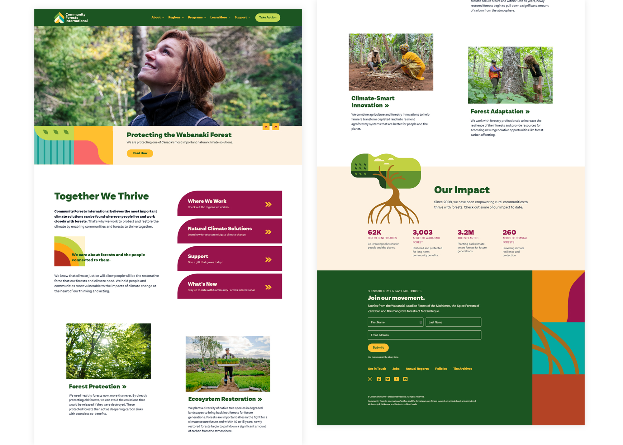 Screenshot of CFI's homepage